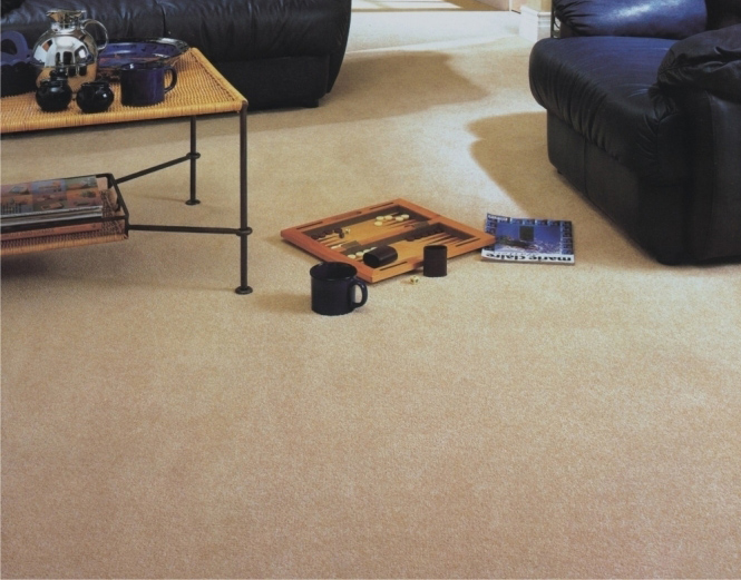 Opções de carpetes Opções de carpetes